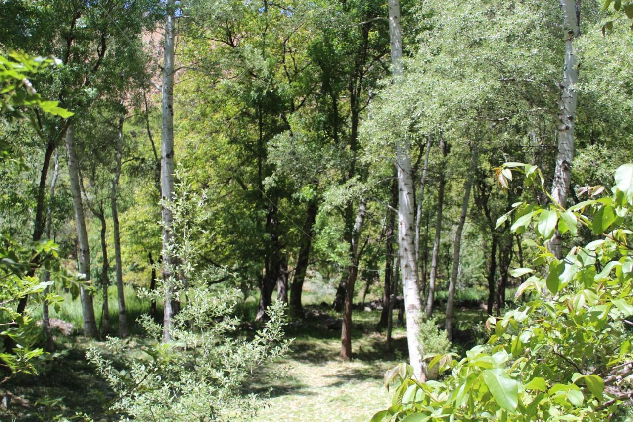 Auberge Toubkal Amsouzart Aitst Idar Tizgui Exterior photo